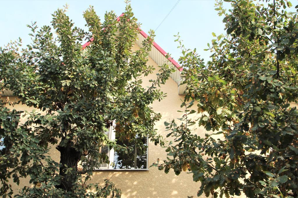 Tiny Hotel Μπισκέκ Εξωτερικό φωτογραφία